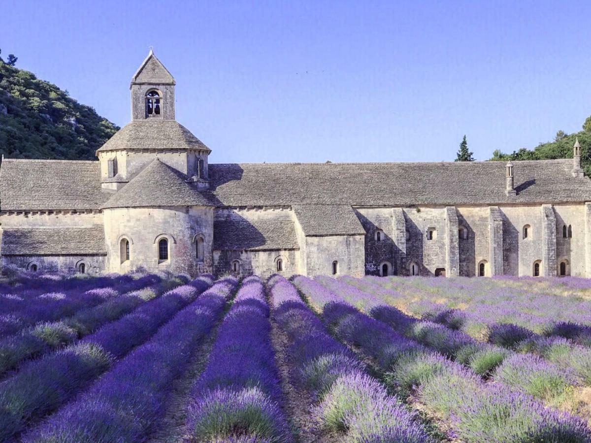 Domaine De La Brave Bed & Breakfast Pernes-les-Fontaines Exterior foto